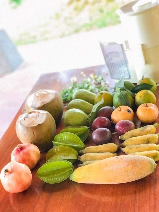 Pai Bjooc Homestay Tuyen Quang Zewnętrze zdjęcie