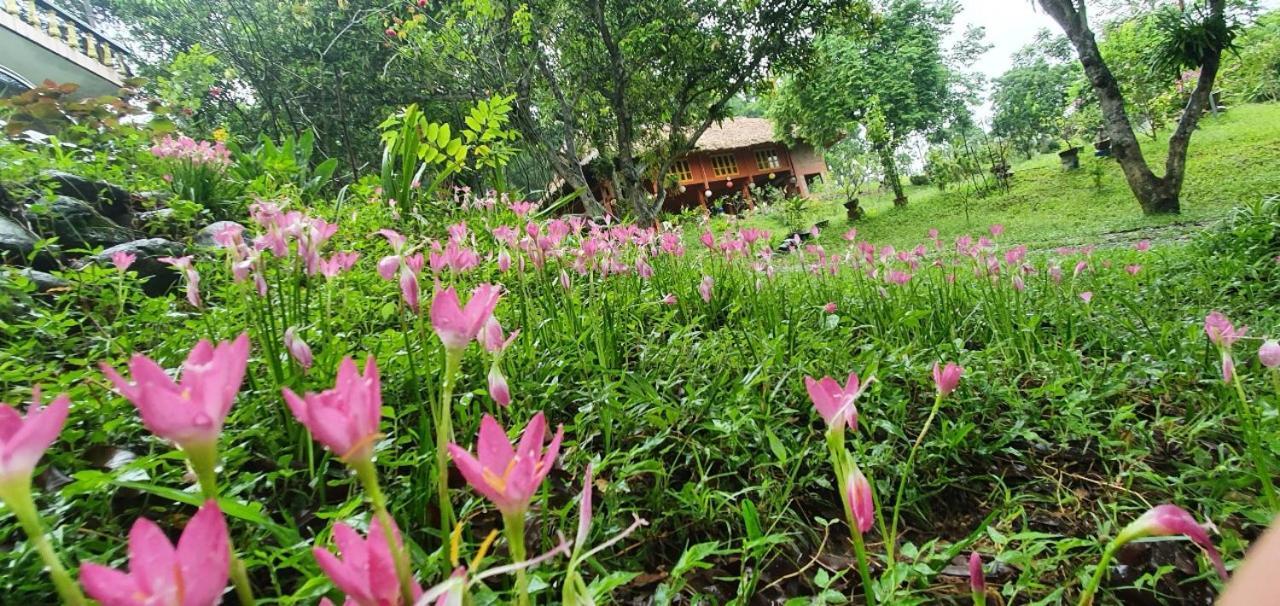 Pai Bjooc Homestay Tuyen Quang Zewnętrze zdjęcie