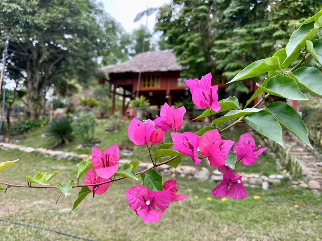 Pai Bjooc Homestay Tuyen Quang Zewnętrze zdjęcie